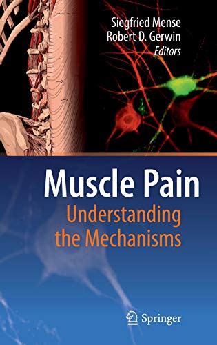 Understanding the Mechanisms of